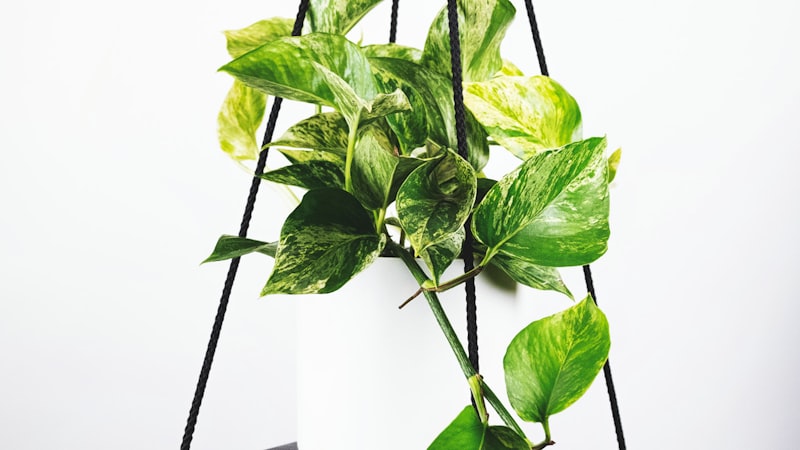 西班牙足球甲级联赛直播：巴塞罗那与皇家马德里的国家德比